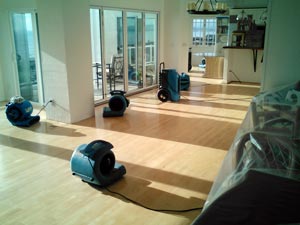 water damage restoration services toronto gta